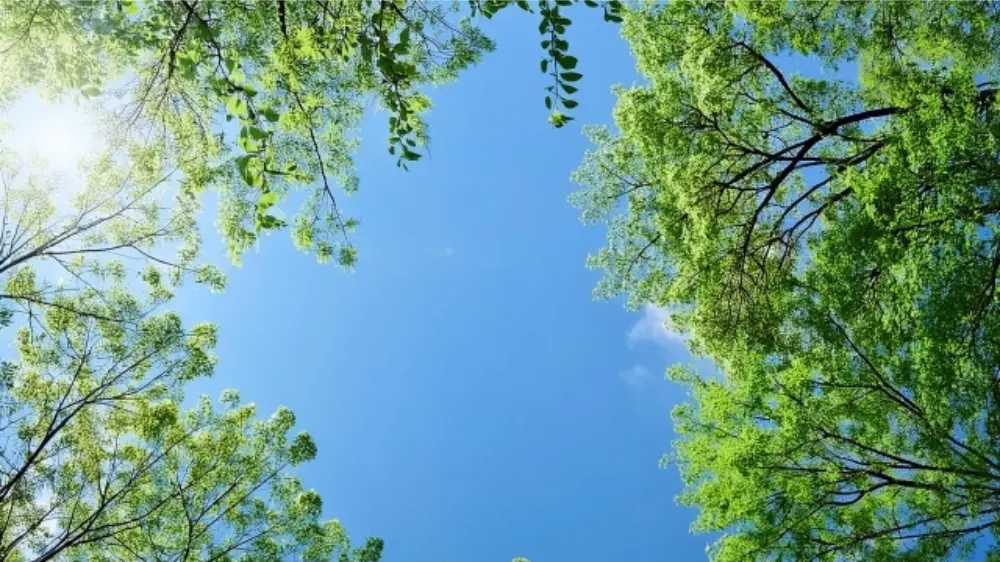 鎌田實の家族